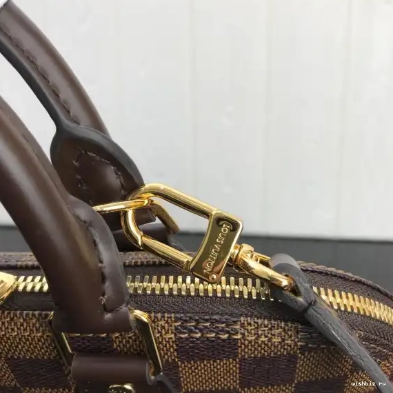 WIS Louis ALMA PM Vuitton 0608